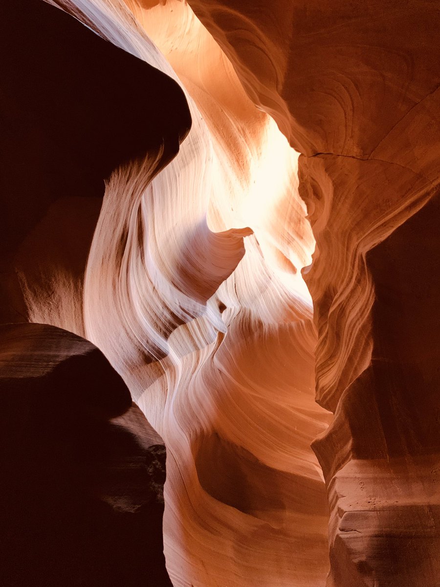 Doruk Tiryaki tweet media