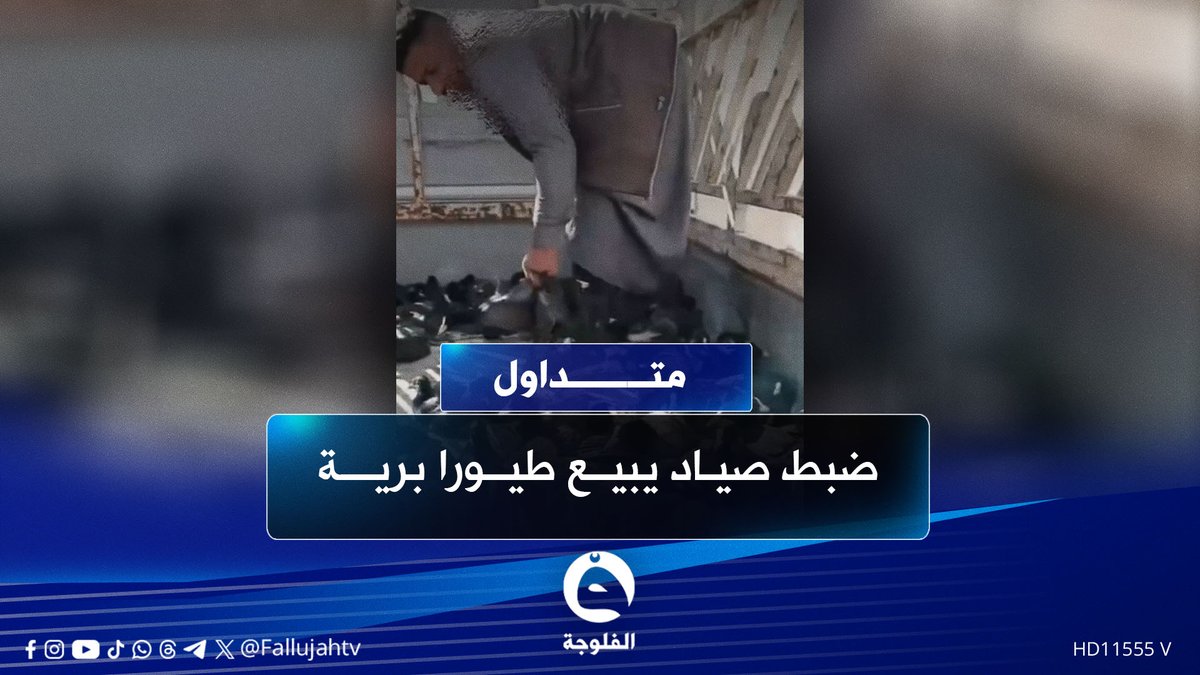 "انوب خضيري وبط".. الشرطة تضبط صيادا يبيع طيورا برية #متداول 