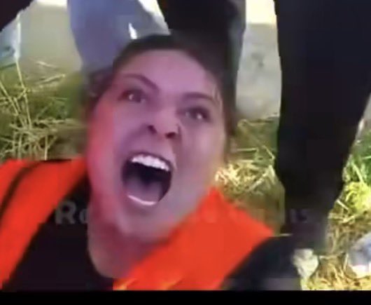 dr_ip21's tweet photo. New Liberal Face Meme just dropped #Iceprotest https://t.co/65gy4kedZ3