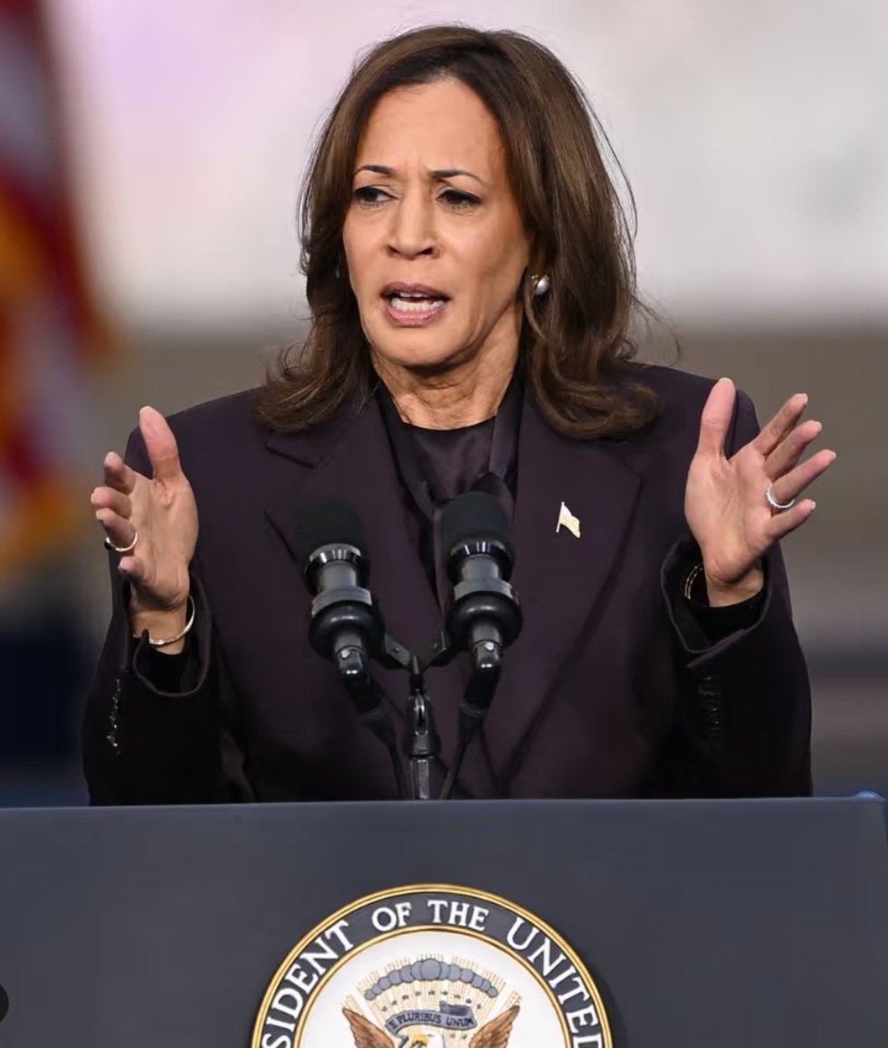 Sicontenga tweet media