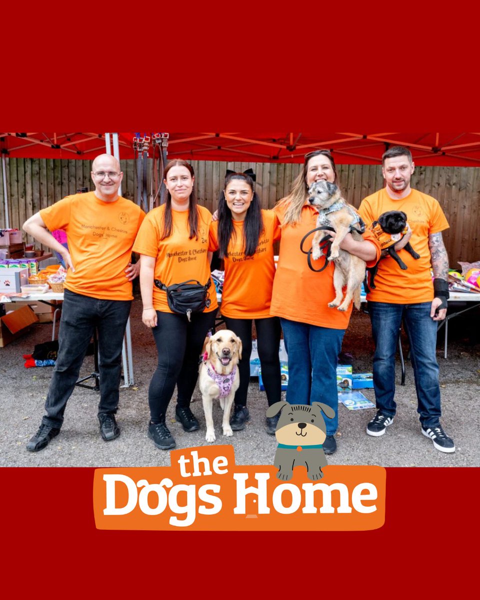 Golden Square tweet media