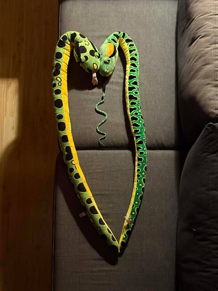 For Pete's Snakes! tweet media