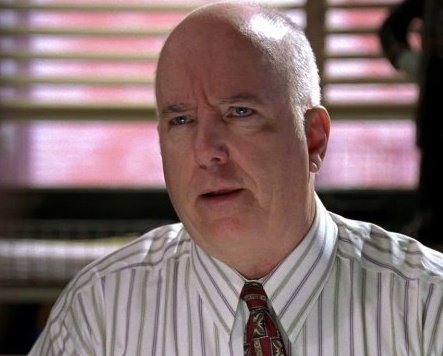 Adiós a John F. O'Donohue, otro de esos imprescindibles actores de reparto que nos han acompañado media vida en TV y cine. Su rol más popular fue el del inspector Eddie Gibson en la serie POLICÍAS DE NUEVA YORK.