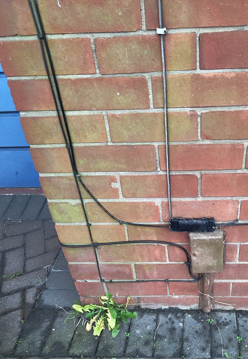 Chris Blackwell 🏳️‍🌈 tweet media