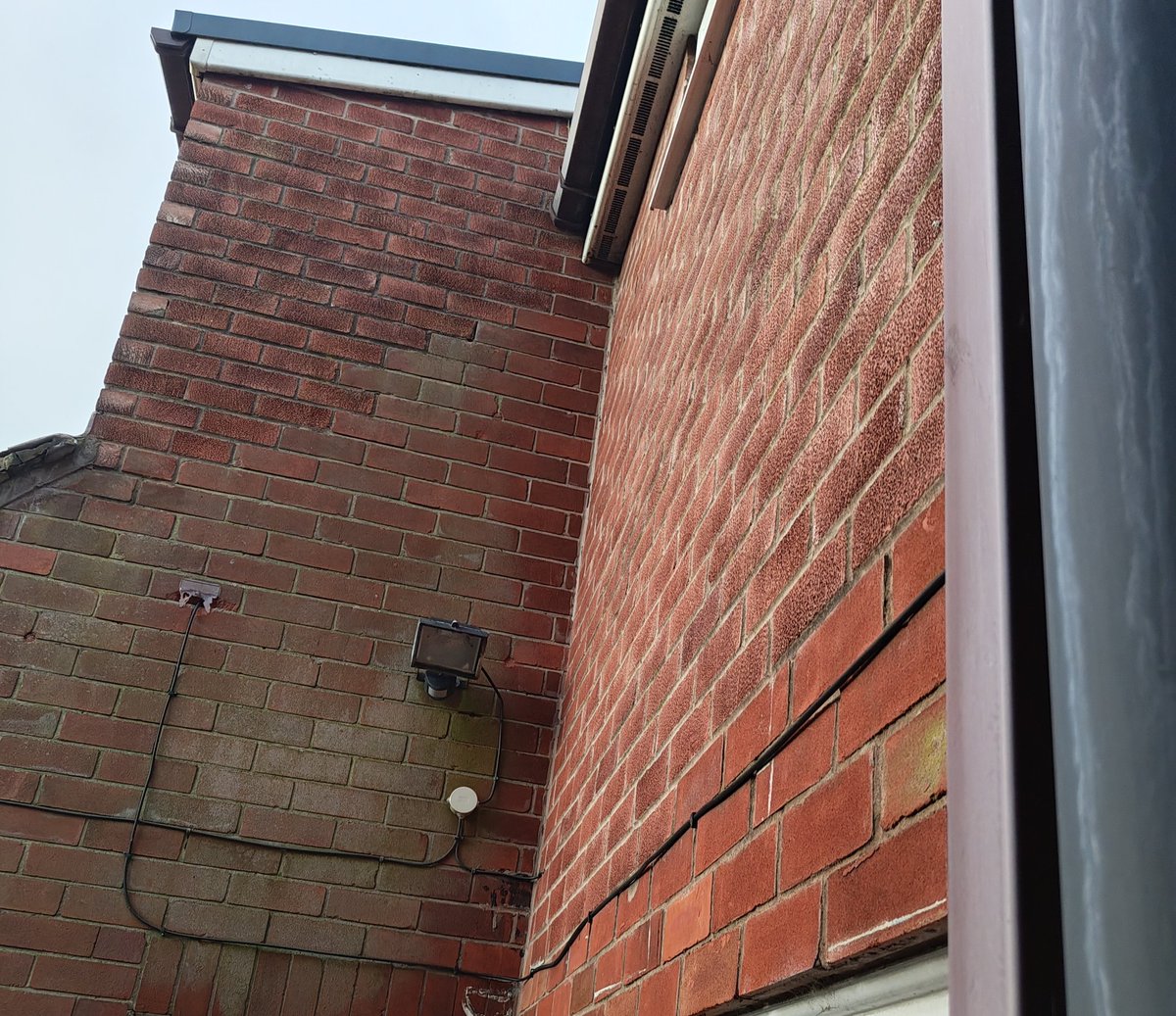 Chris Blackwell 🏳️‍🌈 tweet media