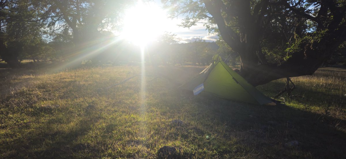 Pablo Motto tweet media