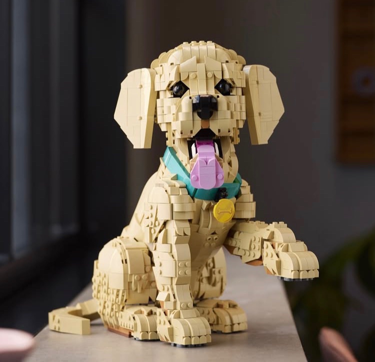 BlogsBrick's tweet image. Lego Icons Golden Retriever Puppy revealed!

2102 Pieces / $139.99 / 1st Feb 2026

#Lego #Legonews #Legoleaks #puppies