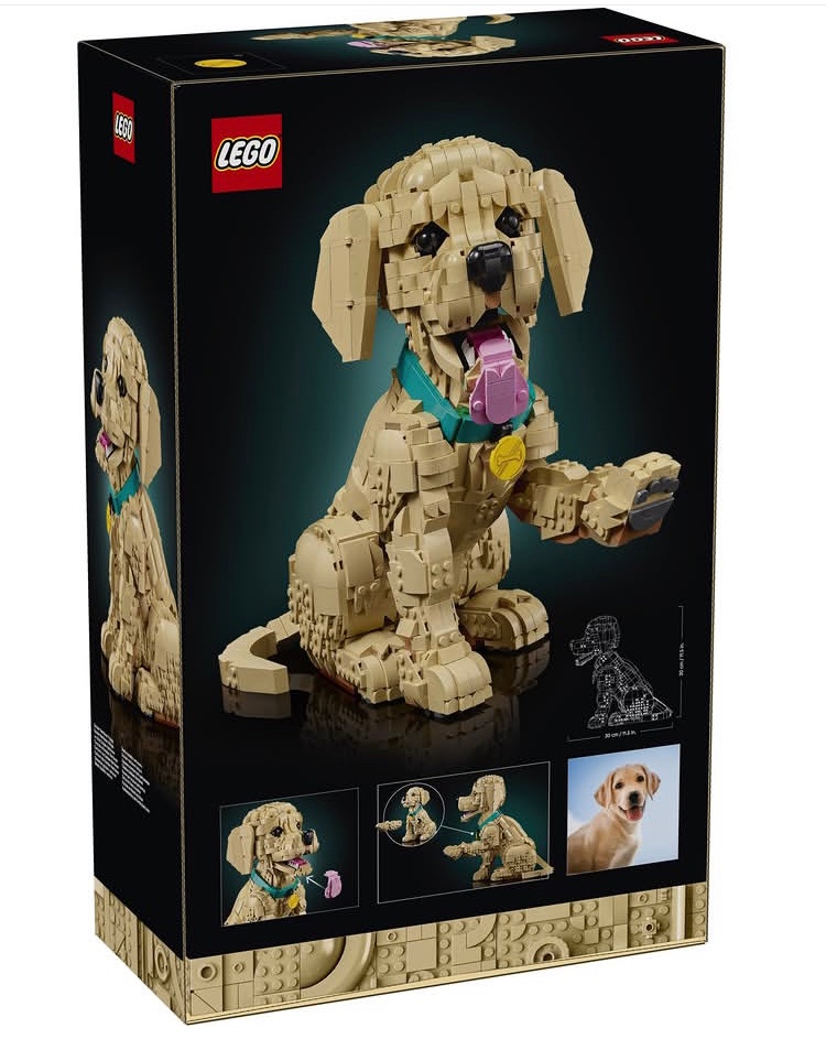 BlogsBrick's tweet image. Lego Icons Golden Retriever Puppy revealed!

2102 Pieces / $139.99 / 1st Feb 2026

#Lego #Legonews #Legoleaks #puppies
