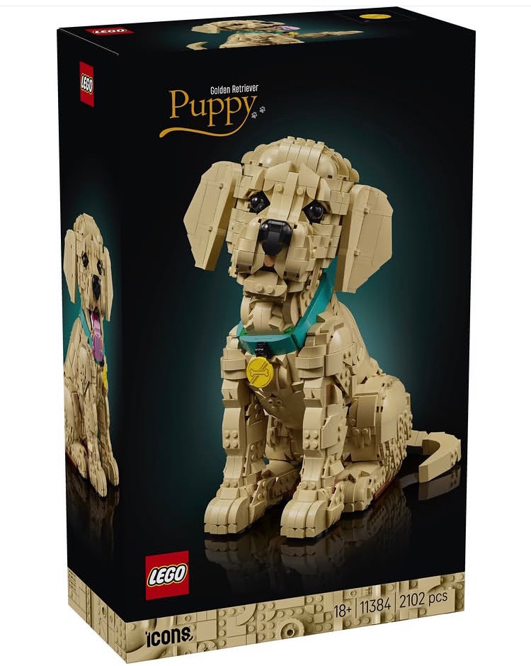 BlogsBrick's tweet image. Lego Icons Golden Retriever Puppy revealed!

2102 Pieces / $139.99 / 1st Feb 2026

#Lego #Legonews #Legoleaks #puppies