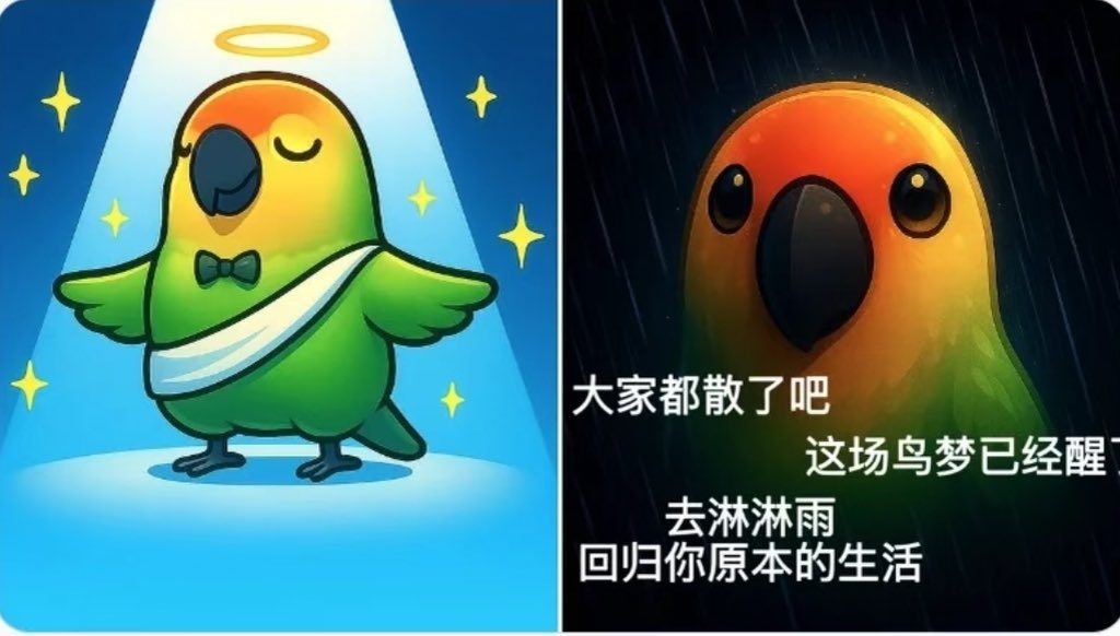 昨天的鸟币空投完了，继续加仓🦜鸟币送福利

晚上了 老婆不在家，我们来玩点刺激的
 
点赞 转发➕关注我

证明你不是机器人 

留下BSC地址，我将空投每人100000000枚🦜鸟币NIAO

#蓝V互关