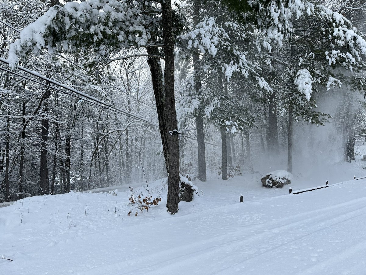 crownweather's tweet image. Final snow total here in Sturbridge is 4.0 inches.  Snow depth is 6.5 inches.  Took some really pretty snow pictures this morning.  Spotter 19-804.  @NWSBoston @WX1BOX #mawx #masnow #snow