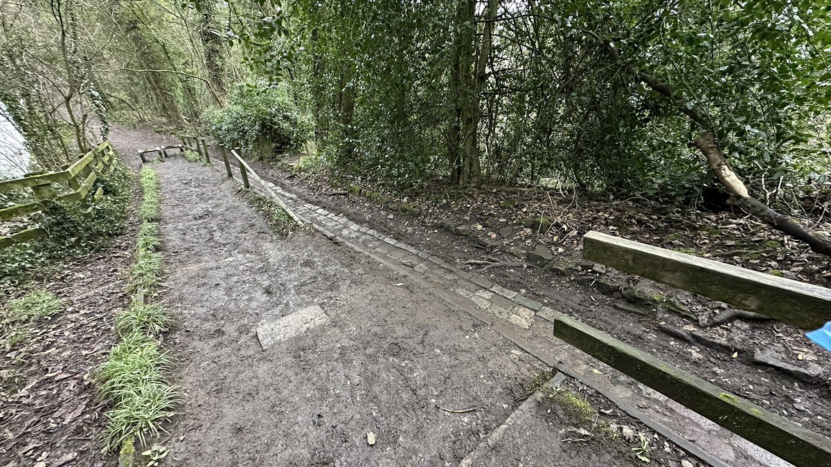 david_henry_oh's tweet photo. @CanalRiverTrust @CRTNorthWest today had to assist an elderly walker who fell (no injuries) on the steps at Hyde Bank Tunnel? Part of the fencing has been missing for long time and the steps need attention- is it your or Cheshire council responsibility? Thanks https://t.co/T0y1wAWkse