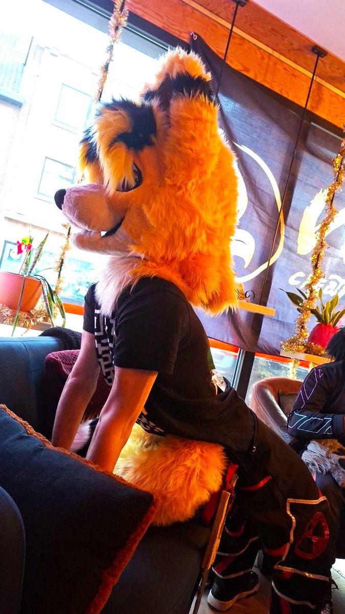 ElyxFox's tweet photo. Last Saturday, at Vox Café Leuven, things happened that are beyond human comprehension.

Was funni as hecc, thank y'all! @Fluxian_ Quill @shyvor_s Cheesy Rexy @CanineC18 

#furry #fursuit #furrygroup #voxevent #regenbooghuis #leuven #fursuitphoto #furrymeeting #furmeet https://t.co/ta9grlot8L