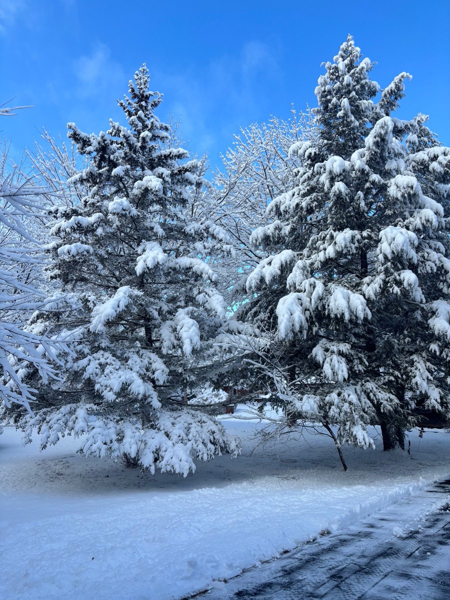 Mia Ackerman tweet media