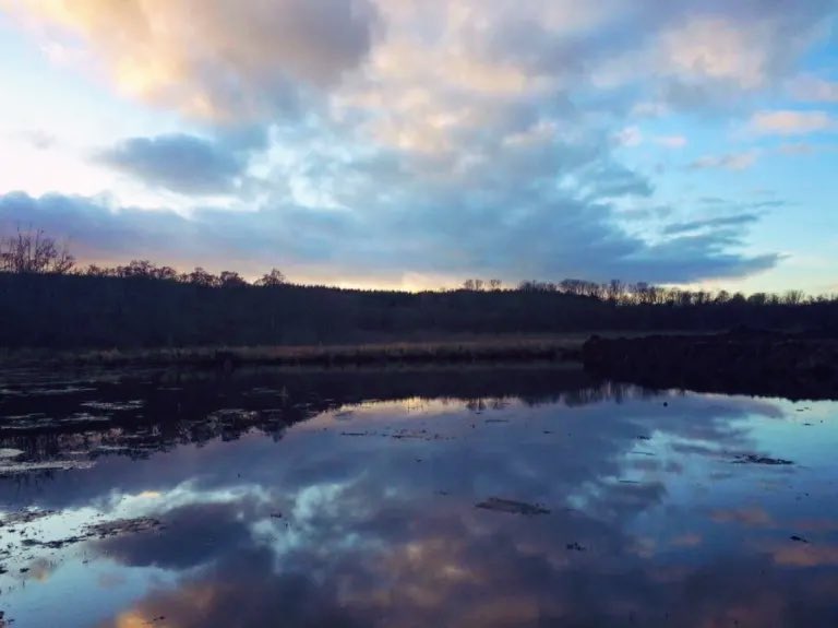 AilishSinclair's tweet image. An Explosive Loch for the New Year 

Read the post: ailishsinclair.com/2026/01/an-exp… 

The loch seemed to look explosive yesterday when I walked down to its banks. 

#MondayBlogs #Scotland