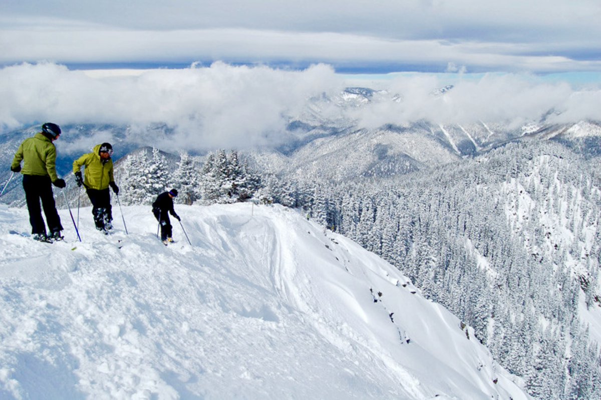 Conn Valley Vineyard tweet media