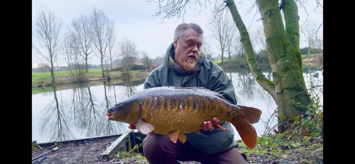 seeking shadows tweet media