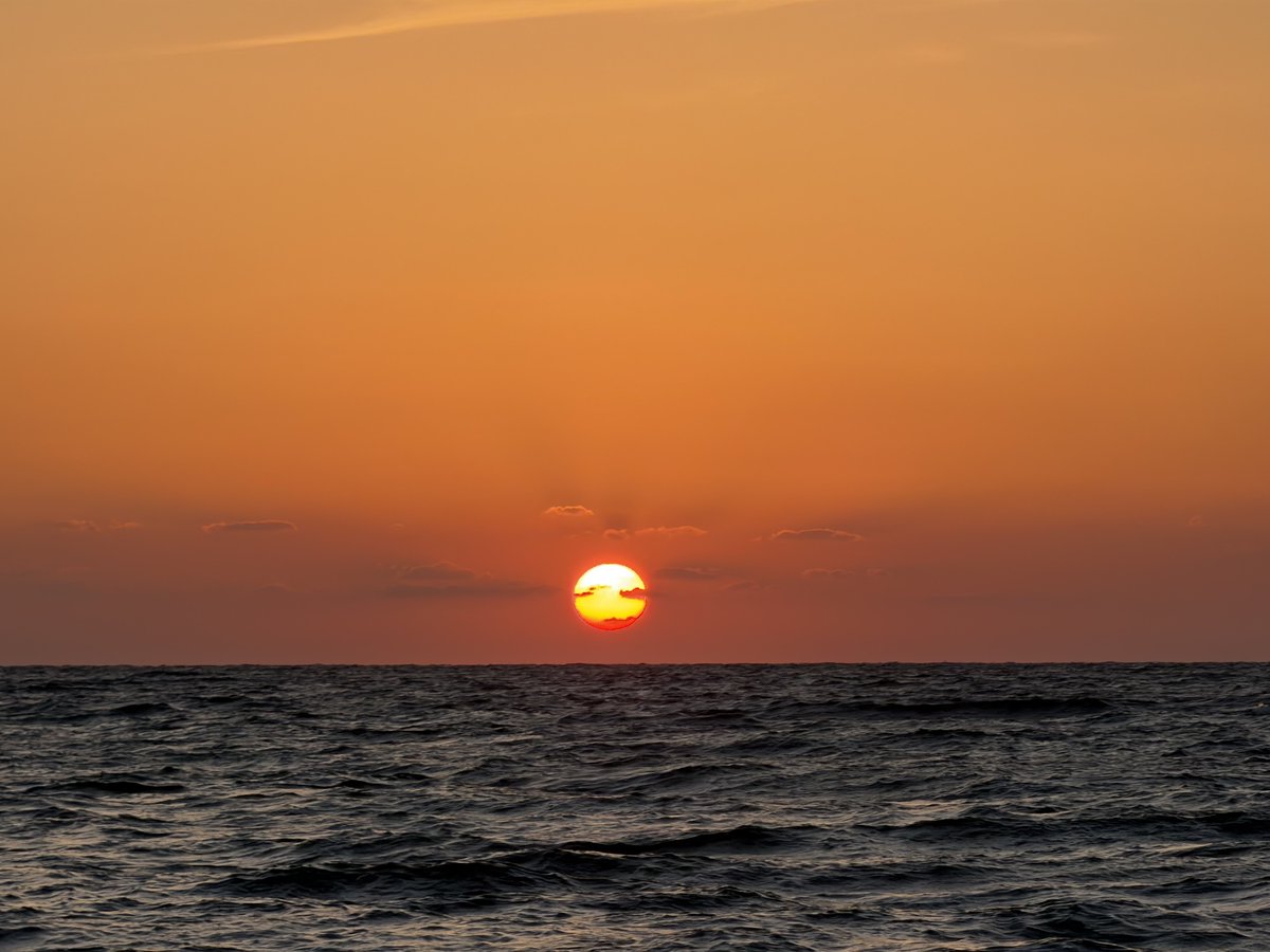 llllY77's tweet image. 