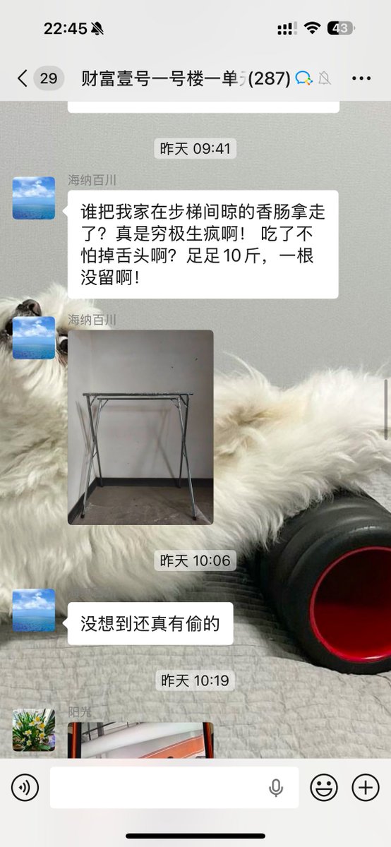 肥猫 tweet media