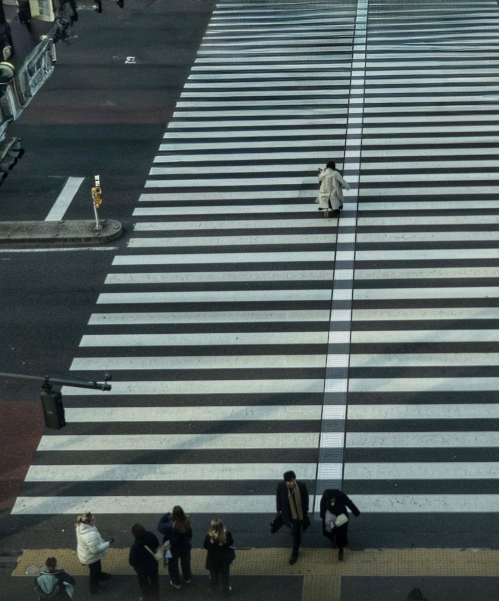 MeiPhotograph's tweet photo. −新宿−d(￣ ￣)
#新宿
#東京 https://t.co/ZxFKsZxpFY