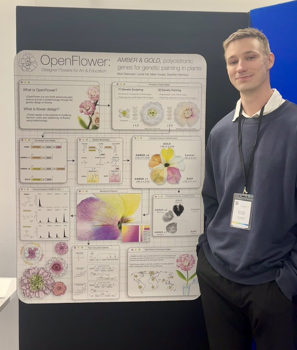 Nick Desnoyer tweet media