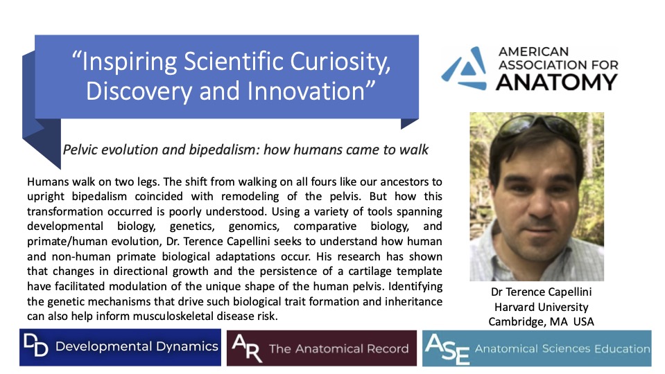 DevelopmentalDynamic tweet media