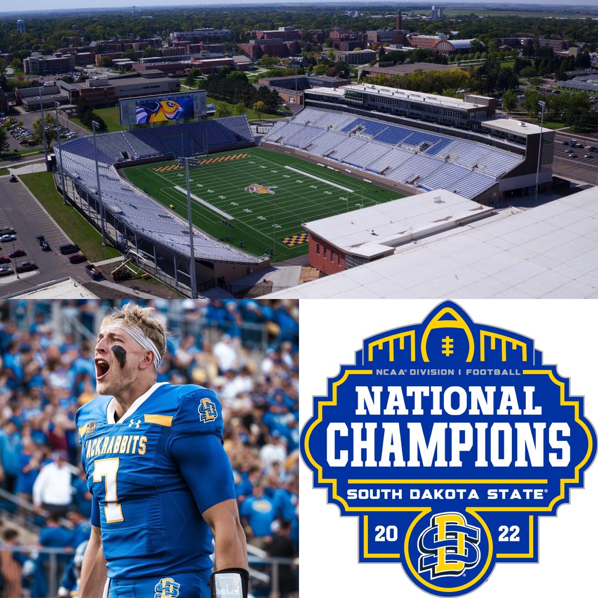 Chap Chapman tweet media