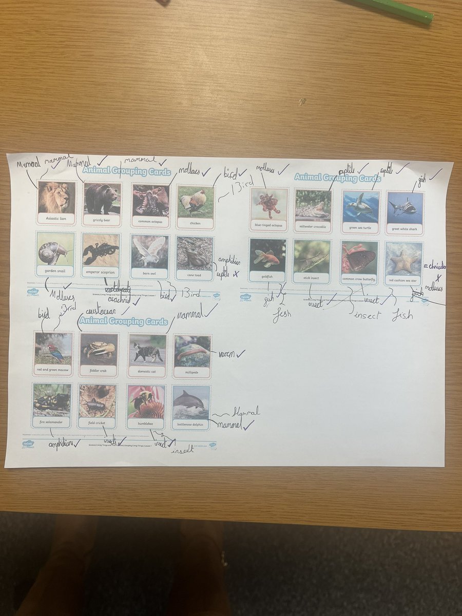 Etching Hill Primary Academy tweet media