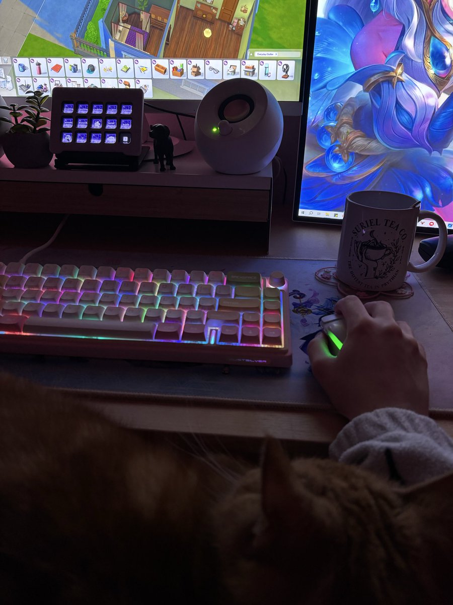 LibraryOfRae's tweet image. Alice resting on my arm while I play sims 😭❤️