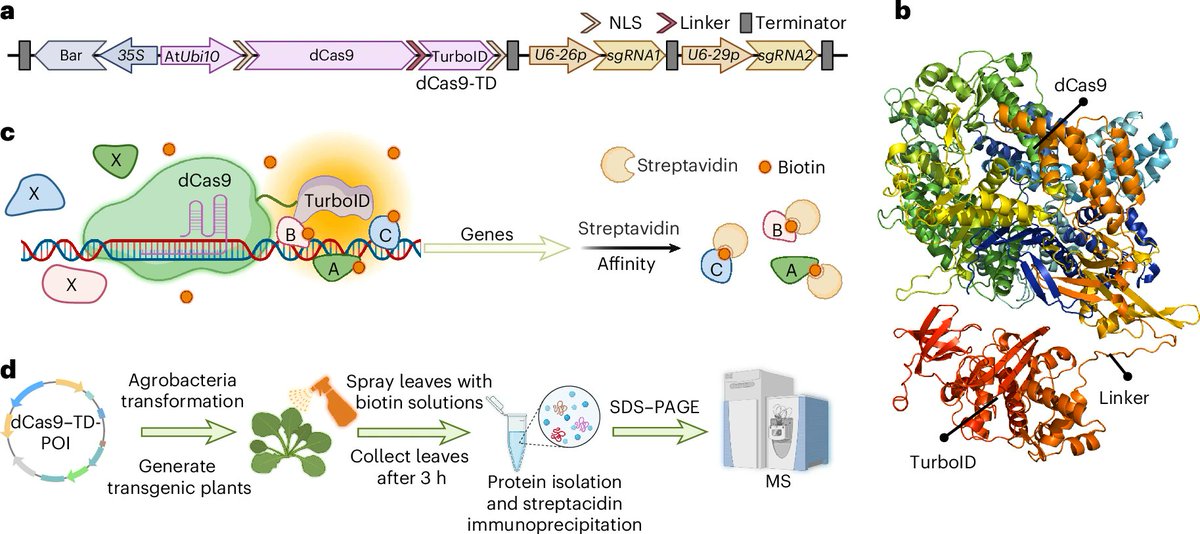 Nature Plants tweet media