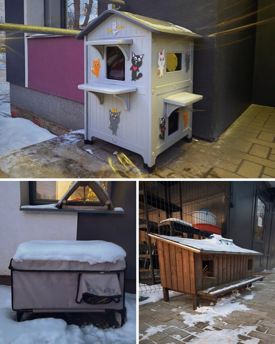 remicentrs's tweet image. Neaizslēdz. Neaizver. Ļauj izdzīvot! 

Sen nepiedzīvotajā salā suns un kaķis bez pajumtes nereti tiek nolemts mokpilnai nāvei, ja viņam nav, kur paslēpties un sasildīties.

Pie nulles un zemākiem gaisa temperatūras grādiem dzīvnieka ķermenis ļoti ātri zaudē siltumu. Dzīvnieks…