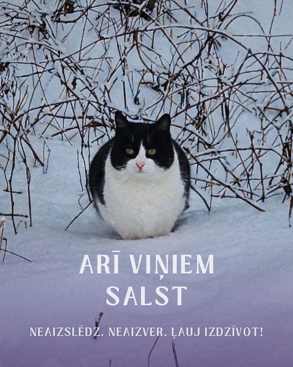 remicentrs's tweet image. Neaizslēdz. Neaizver. Ļauj izdzīvot! 

Sen nepiedzīvotajā salā suns un kaķis bez pajumtes nereti tiek nolemts mokpilnai nāvei, ja viņam nav, kur paslēpties un sasildīties.

Pie nulles un zemākiem gaisa temperatūras grādiem dzīvnieka ķermenis ļoti ātri zaudē siltumu. Dzīvnieks…