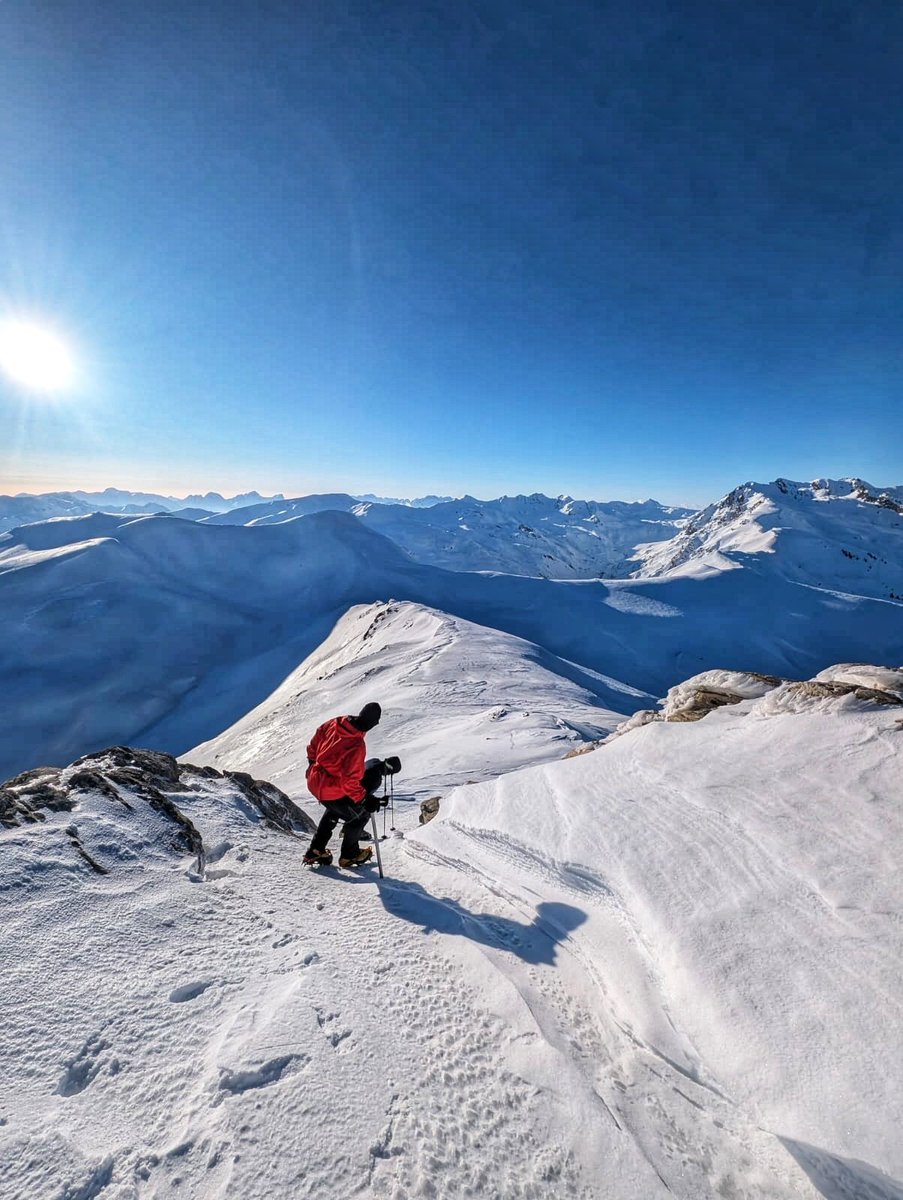 Demush Shasha tweet media