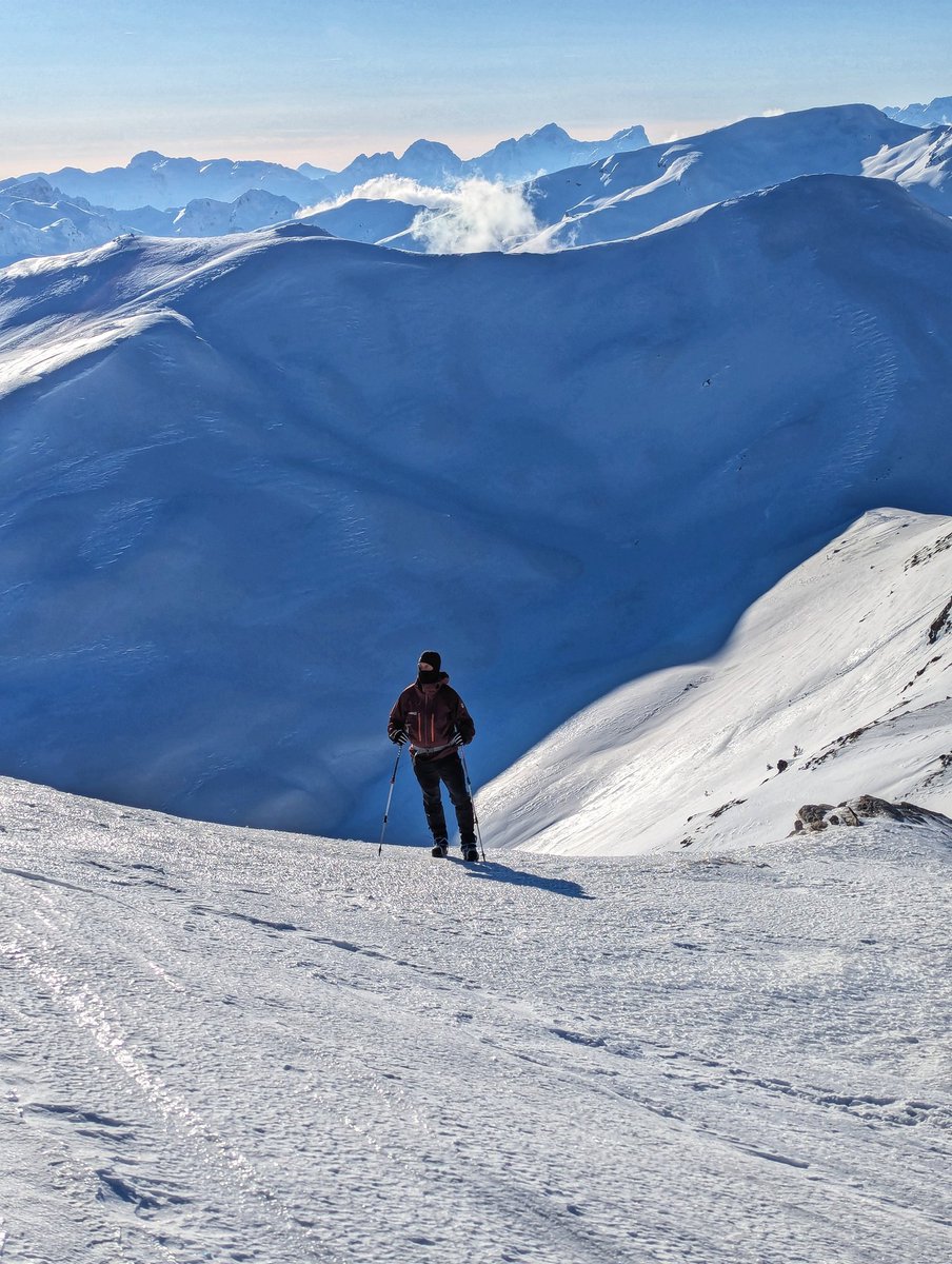 Demush Shasha tweet media