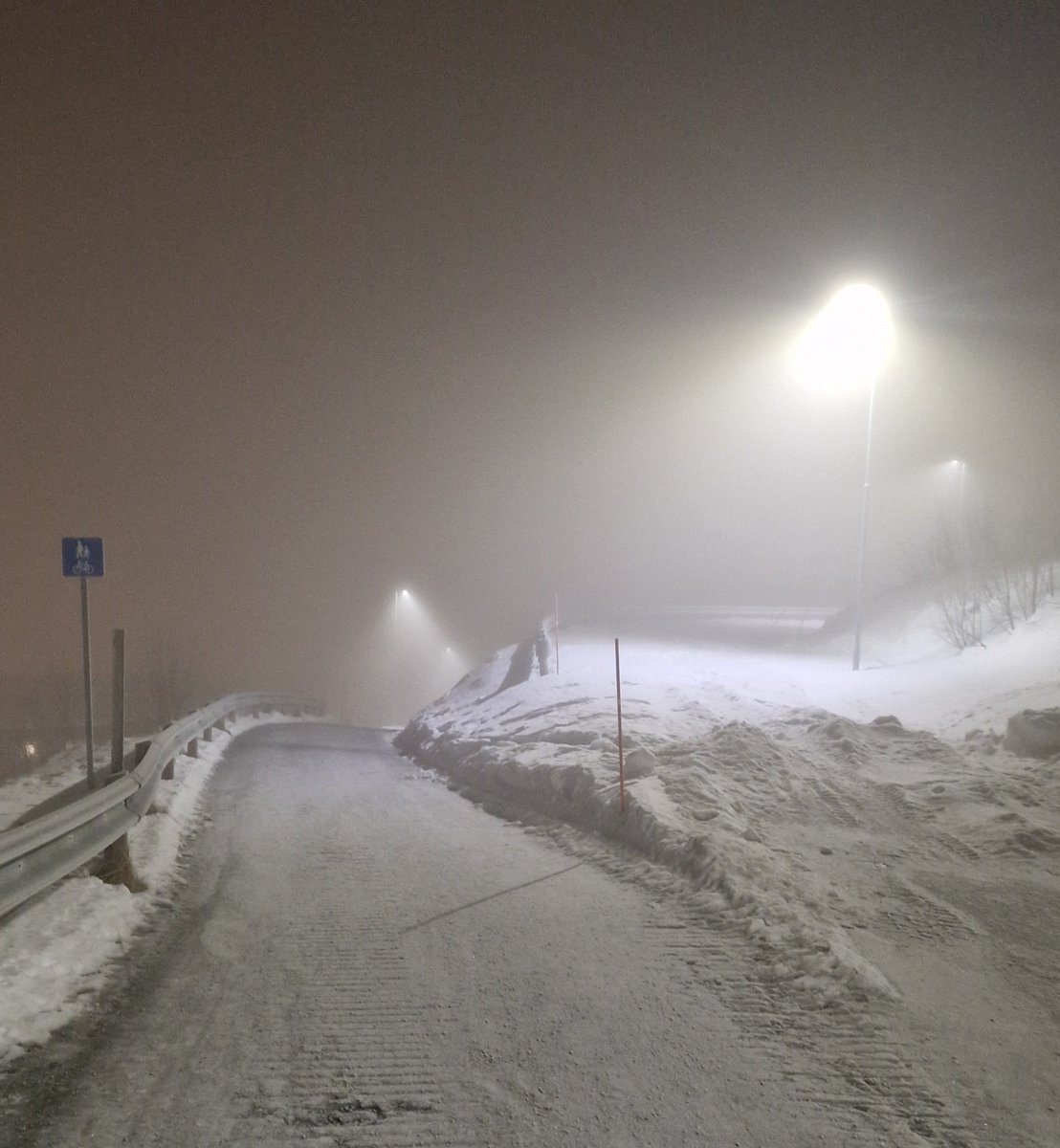 NorthernFrom's tweet image. После вчерашнего внезапного потепления до плюс 4, сегодня опять морозы. И сейчас у нас вот такой Silent Hill. 🙄