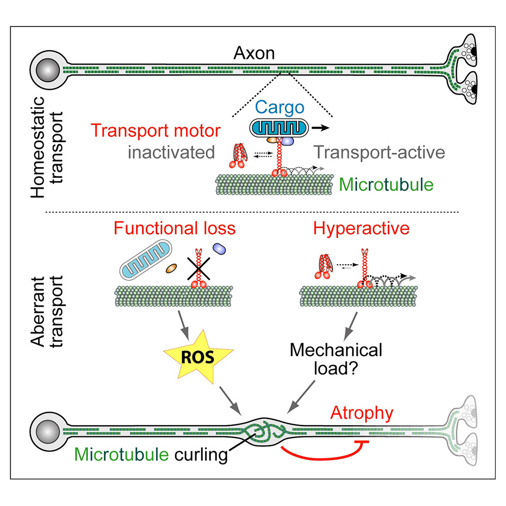 Devesh C Pant tweet media