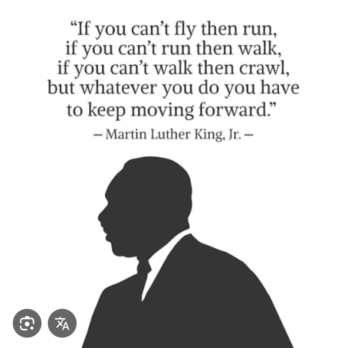 #MLKDay "Si no puedes volar, corre; si no puedes correr, camina; si no puedes caminar, gatea, pero sigue avanzando."