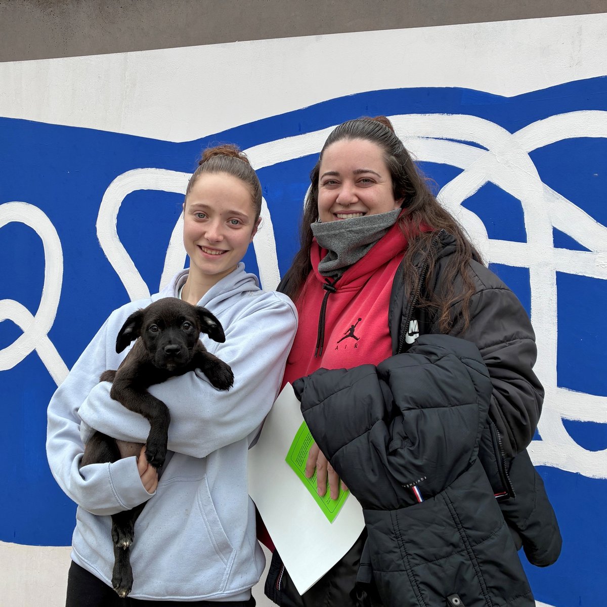 El Refugi dels Peluts tweet media