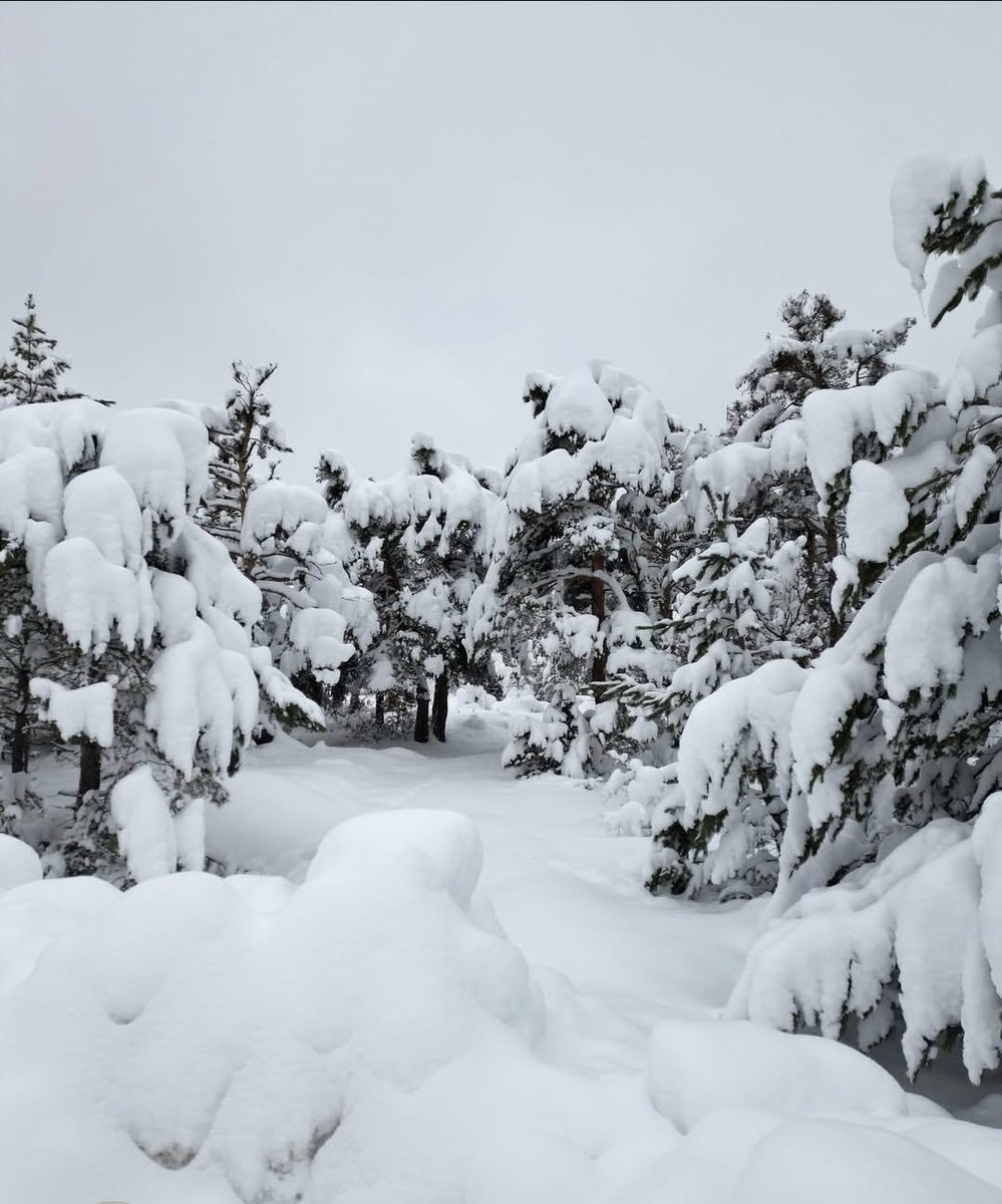 #Akdağmadeni 
Bozkırın yeşil başkenti