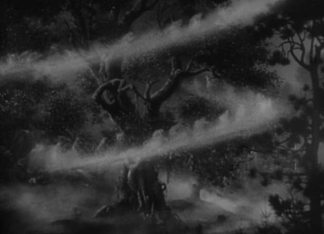 a midsummer night’s dream (1935)
dir. max reinhardt &amp; william dieterle