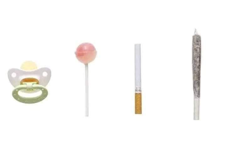 llpipi's tweet image. 