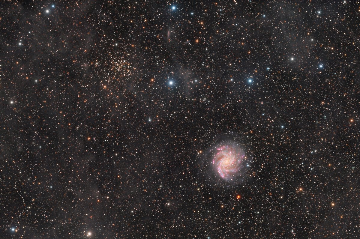 Insight Observatory tweet media