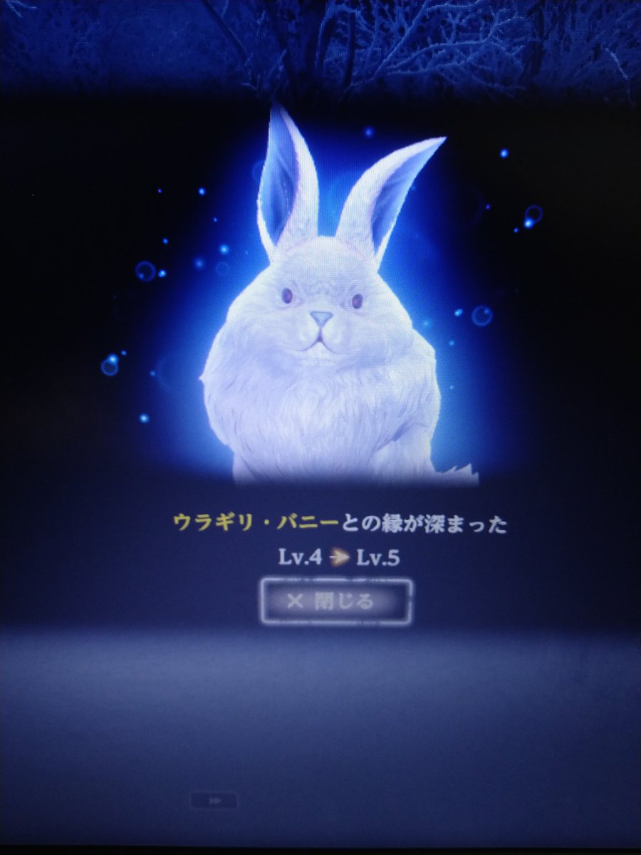 ウサギついに完走しました∠( ﾟдﾟ)／ ＃ウィズダフネ