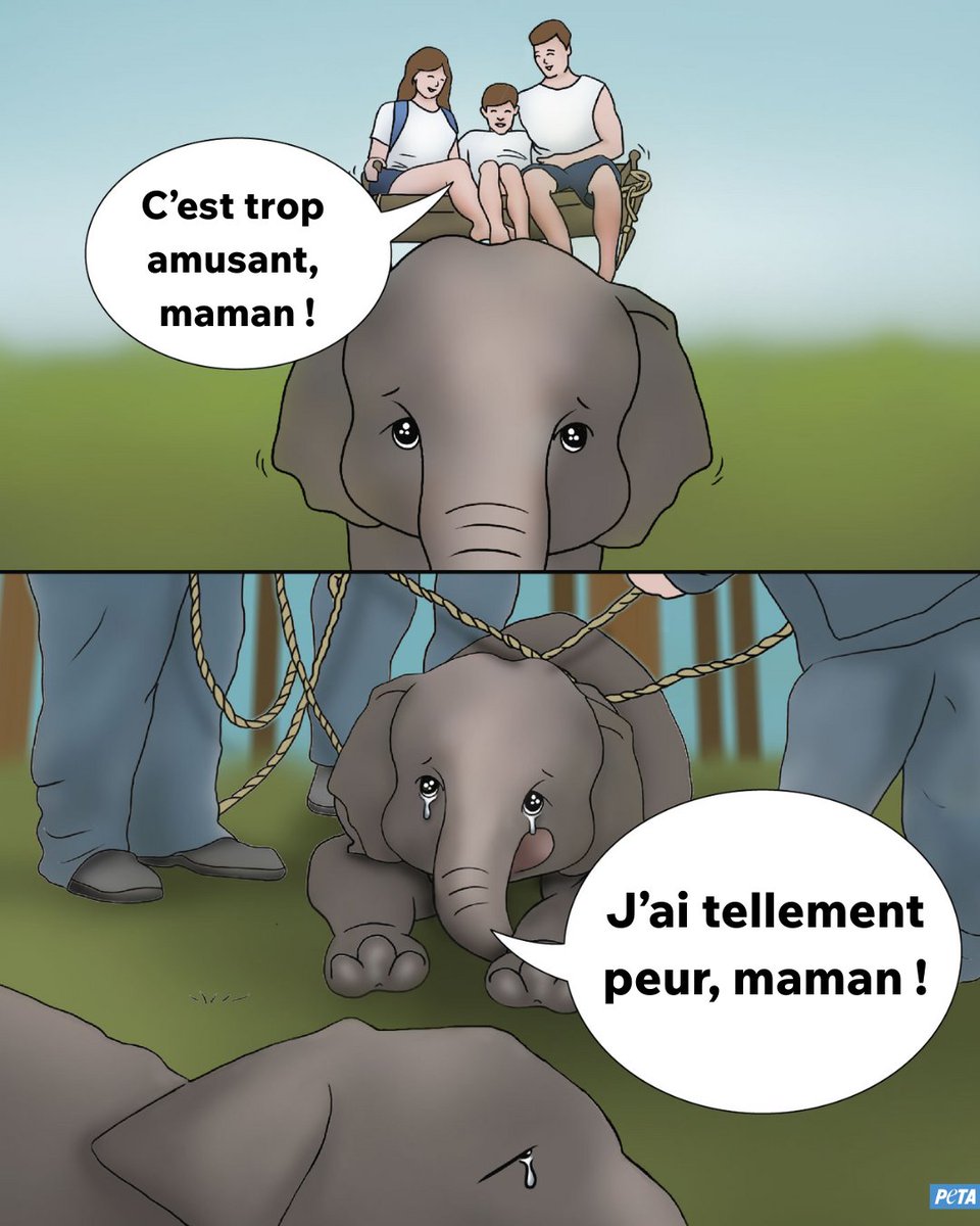 PETA_France's tweet image. Ne montez JAMAIS à dos d'éléphant ou tout autre animal. 🐘💔