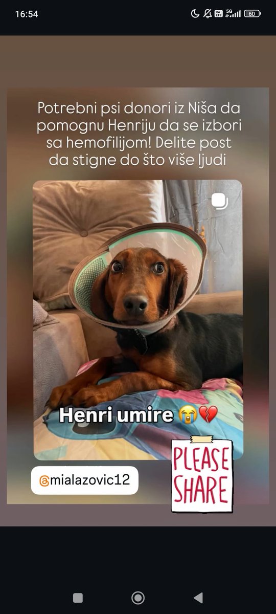 sanjazivi's tweet image. Potrebni donori iz Nisa