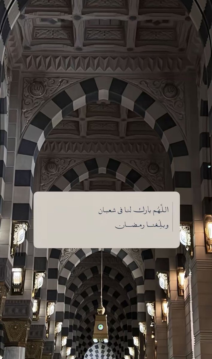 توليب ♡🌷 tweet media