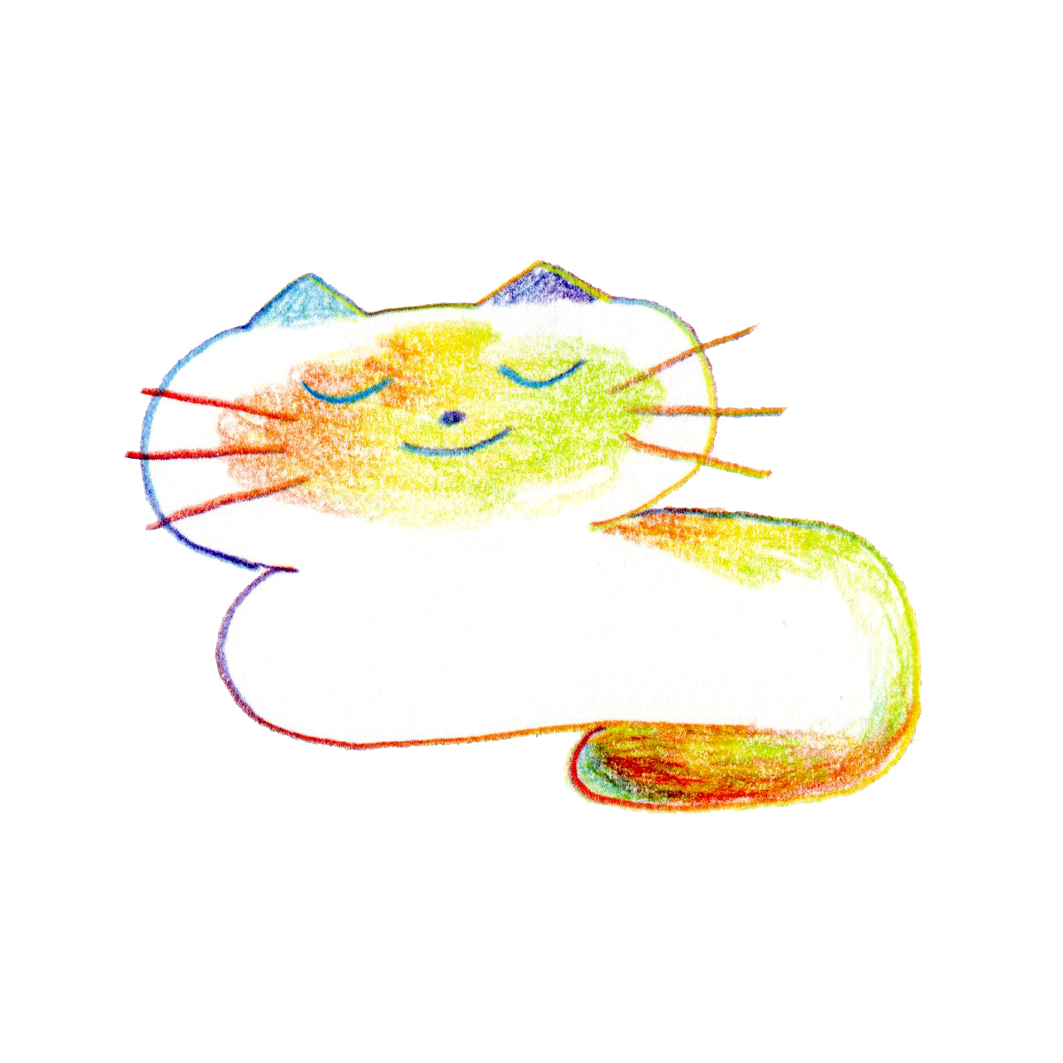 jxiaoo's tweet image. cat