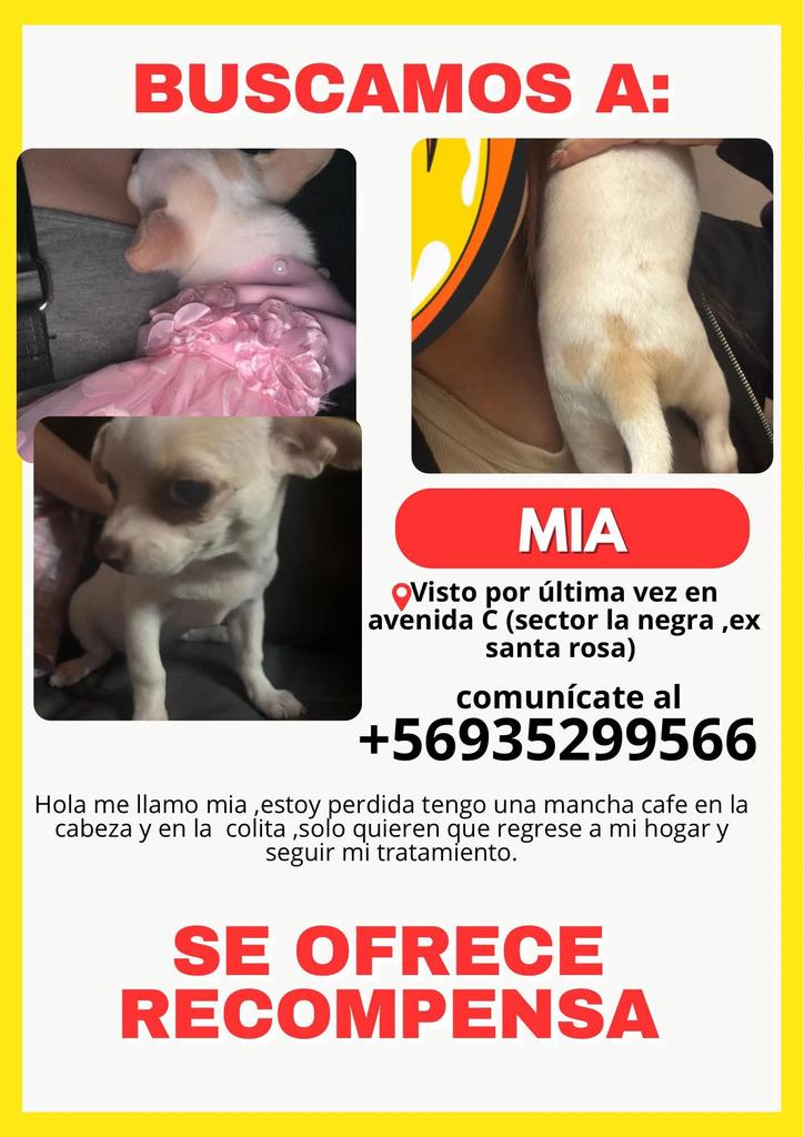 LORE TIN tweet media