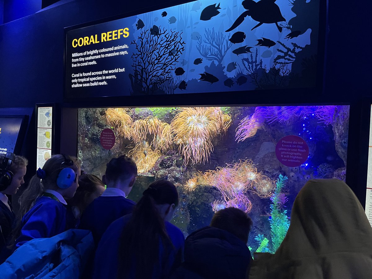 Farington School tweet media