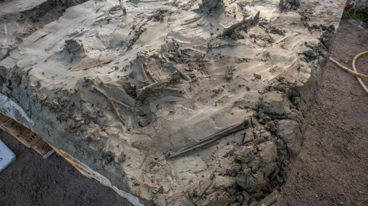 MMackeyAuthor's tweet image. 5,000-year-old dog skeleton and dagger buried together in Swedish bog hint at mysterious Stone Age ritual

tinyurl.com/274wt5xu

#Neolithic #NeolithicPeriod